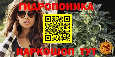 СК Канаш