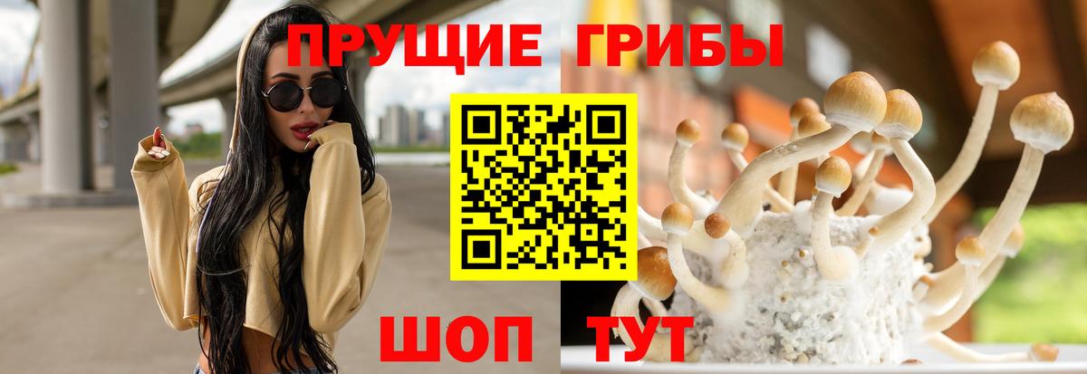 Кудымкар  Псилоцибиновые грибы Cubensis  Вход с VPN 
