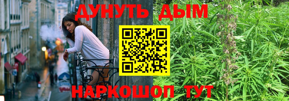Бошки Шишки семена Кудымкар